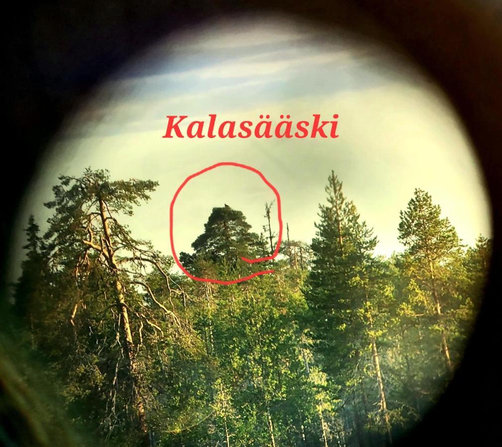 Вилла Salen Saunamoekki Рануа Экстерьер фото